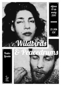 Wildbirds & Peacedrums