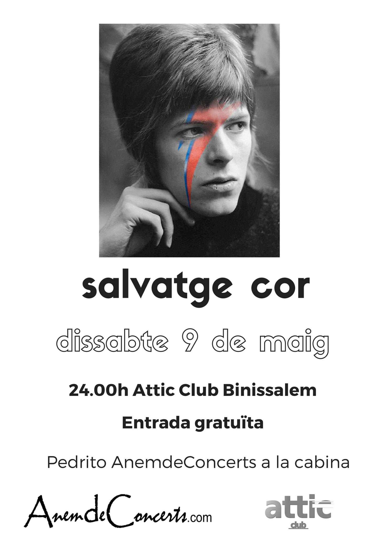 cartell Salvatge Cor AtticnTapes_vertical